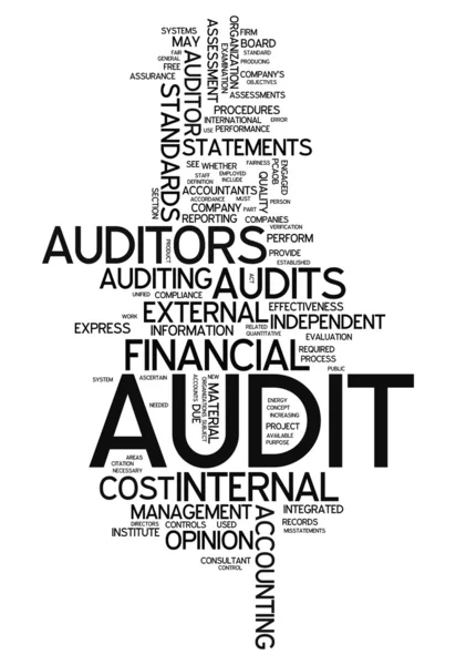 Word Cloud Audit — Stock Photo, Image