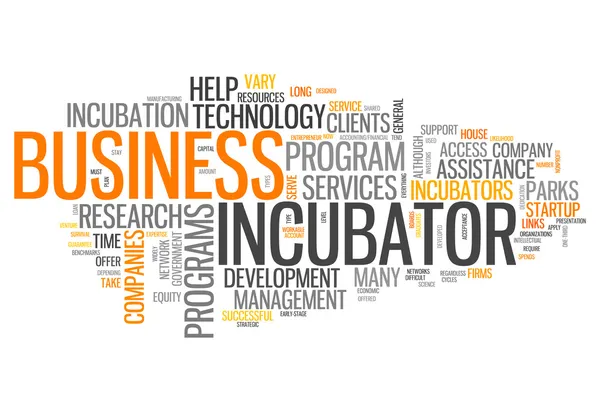 Word Cloud Business Incubator — Stockfoto