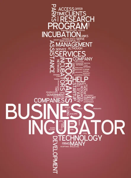 Word Cloud Business Incubator — Stockfoto