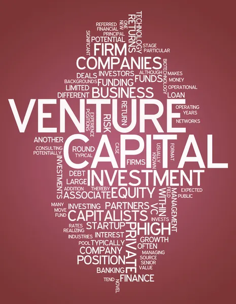 Word Cloud Venture Capital — Stock Photo, Image
