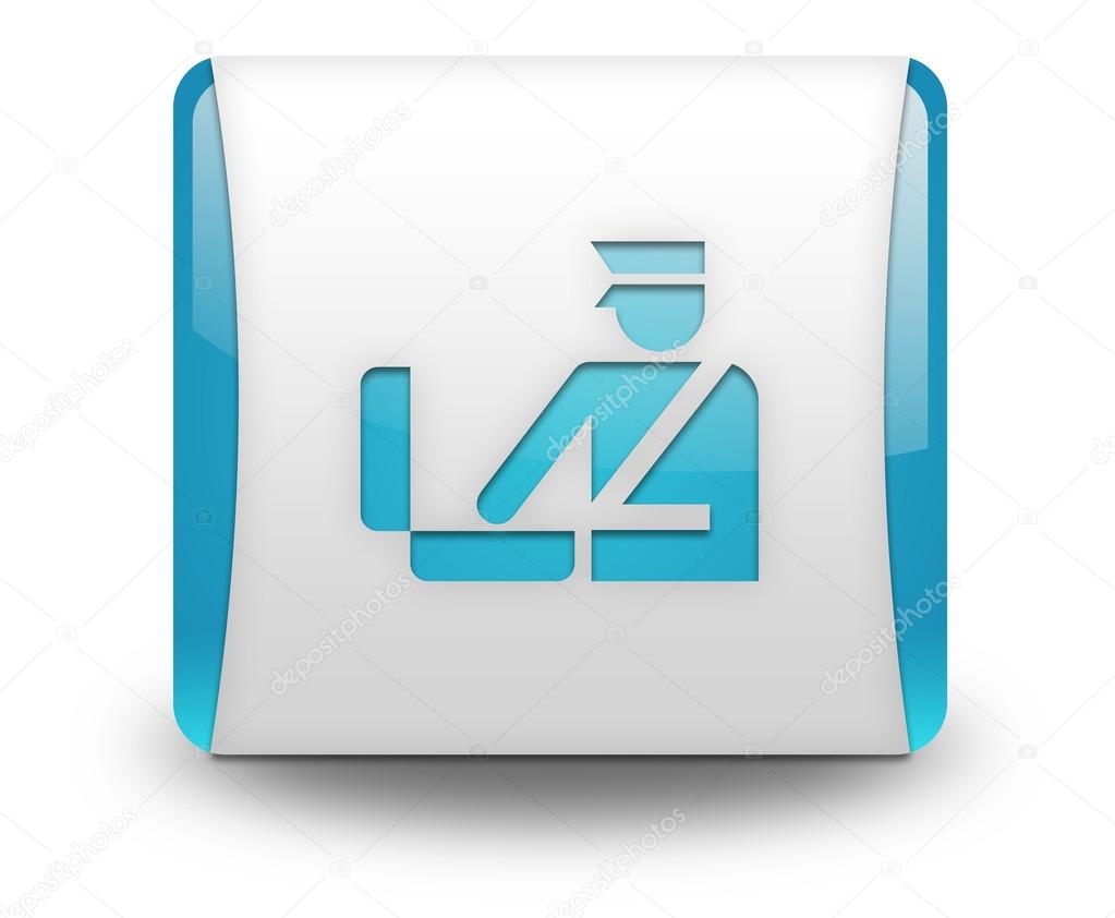 Icon, Button, Pictogram with Customs symbol
