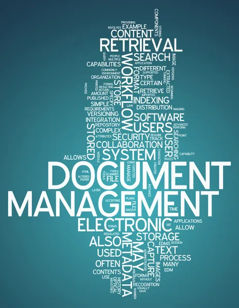 Word Cloud Document Management — Stock Photo, Image