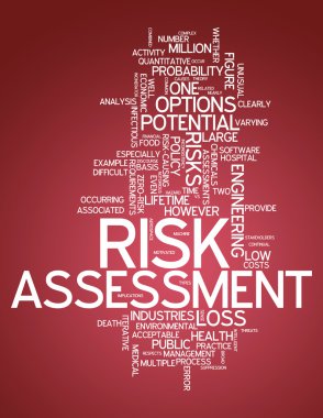 kelime bulutu risk değerlendirmesi