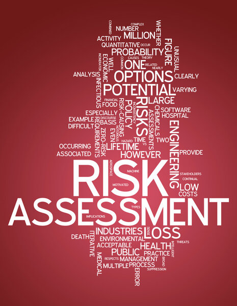 Оценка риска в облаке слов
