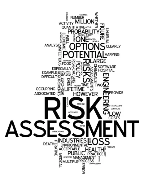 Word Cloud Risk Assessment — Stock Photo, Image