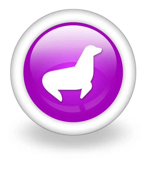 Icon, Button, Pictogram Seal — Stock Photo, Image