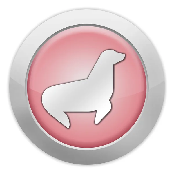 Icon, Button, Pictogram Seal — Stock Photo, Image