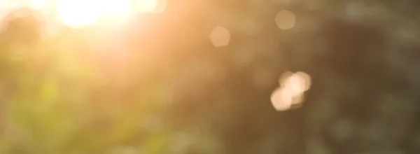 Bokeh