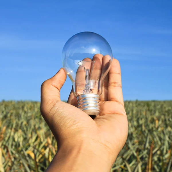 Lightbulb in hand — Stock Photo, Image