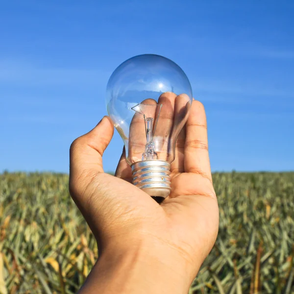 Gloeilamp in hand — Stockfoto