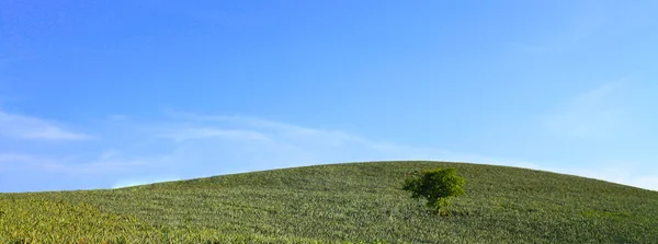 Zelený kopec — Stock fotografie