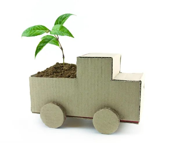 Seedling in car — Stock Photo, Image