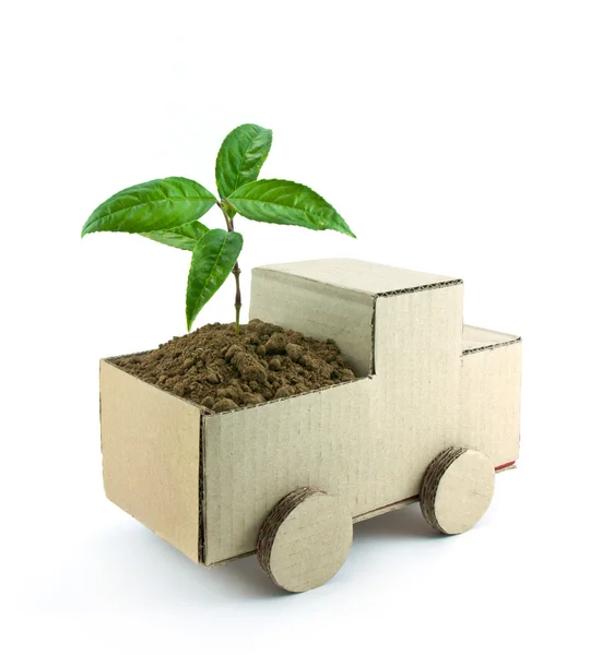Seedling in car — Stock Photo, Image