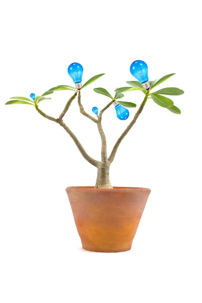 Lightbulb tree — Stock Photo, Image