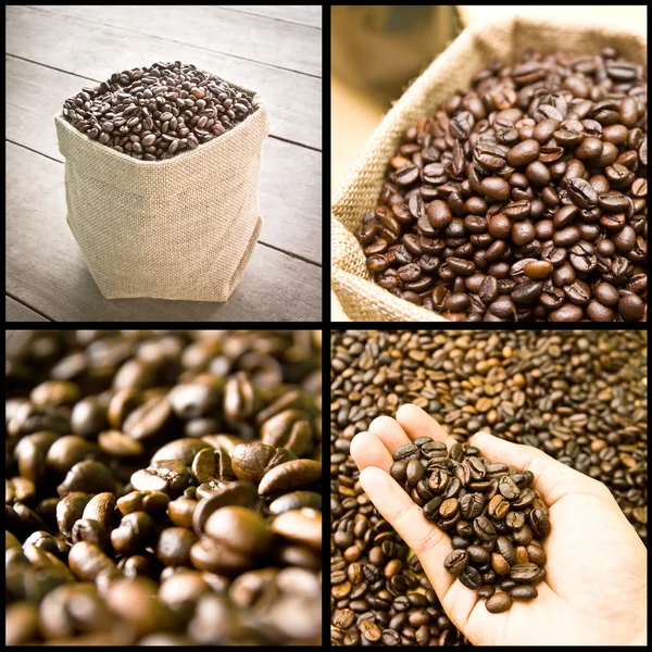 Coffee beans Royalty Free Stock Photos