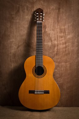 Klasik Gitar