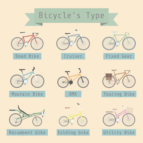 Bicycle's type — Stock Vector