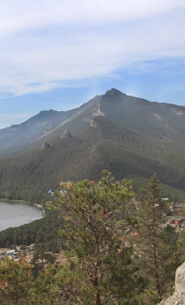 Montañas cubiertas de bosque de pinos —  Fotos de Stock