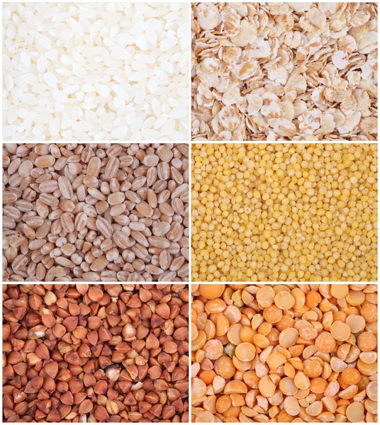 穀物を設定します。米、豆、オートミール、オオムギ、キビ、ソバ — ストック写真