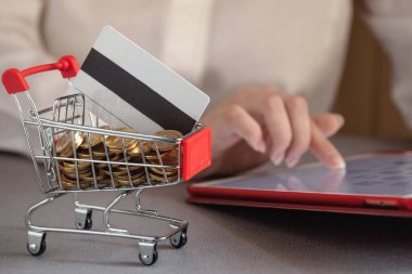 Para ve banka kartı sepette, çevrimiçi mağazadan alımlar, kredi kartıyla ödeme, çevrimiçi bankacılık, kişisel hesap, siber güvenlik ve internet dolandırıcıları