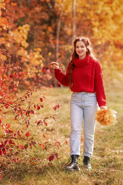 Gyönyörű Fiatal Piros Pulóverben Őszi Erdő Portréján Egy Csokor Elesett — Stock Fotó