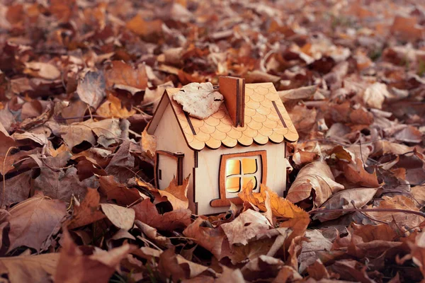 Ekologiczny Dom Drewniany Dom Opadłymi Jesiennymi Liśćmi Model Drewnianego Domu — Zdjęcie stockowe