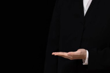 İş kadını avucunda bir şey tutuyor, eli boş, el hareketi yapıyor ya da sunuyor, iş kavramı.