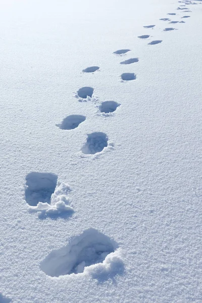 Footprints Deep Snow Leaving Boot Prints Fresh White Snow Winter — Φωτογραφία Αρχείου