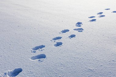 footprints on white snow in winter, footprints go across the snowfield