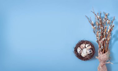 İlkbaharda, mavi bir arka planda çiçek açan söğüt dalları ve bıldırcın yumurtalarıyla mutlu bir Paskalya bayrağı.