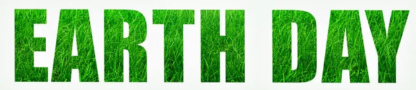 Antecedentes Del Día Tierra Concepto Banner Con Hierba Verde Fresca Imagen de archivo