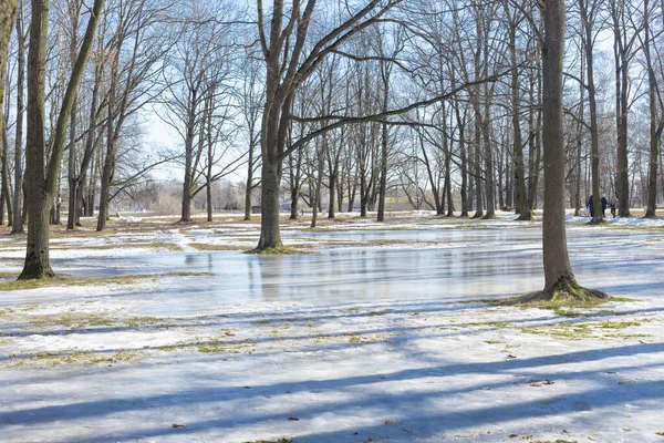 Parque Principios Primavera Día Soleado Brillante Nieve Derretida Marzo Inundación Imágenes de stock libres de derechos