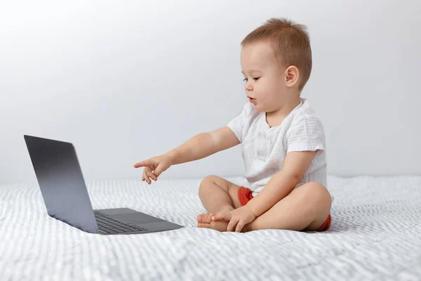 two year old kid looking at laptop screen, online games, cartoons and learning, internet addiction and screen time concept