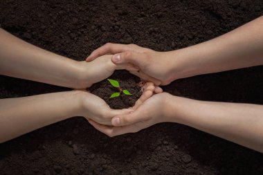 Toprakta yeşil filizlenen bir çiftin elleri, birlikte bir ağaç dikmek, doğayı kurtarmak, yeryüzü günü geçmişi, yeni bir hayat kavramı
