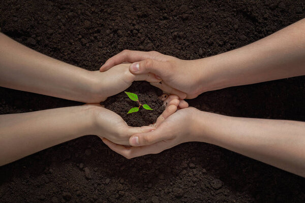 hands of a couple with a green sprout in the soil, plant a tree together, save nature, earth day background, new life concept