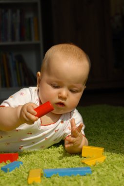 yapı taşları ile oynayan bebek