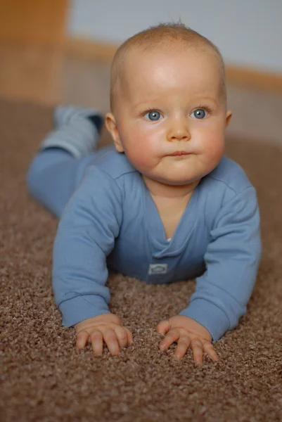 Bebek taramaya öğrenir.