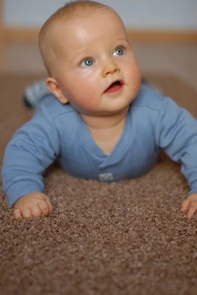 Bebek taramaya öğrenir.