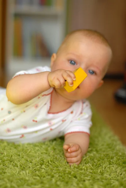 yapı taşları ile oynayan bebek