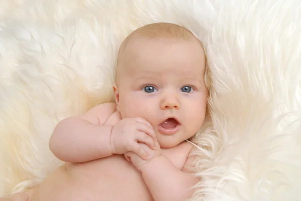 koyun derisi üzerinde yalan ve kamera karşı karşıya yeni doğan bebek