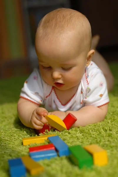 yapı taşları ile oynayan bebek