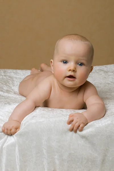 Retrato de bebê recém-nascido — Fotografia de Stock