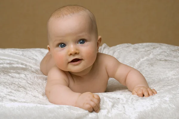 Yeni doğan bebek portresi