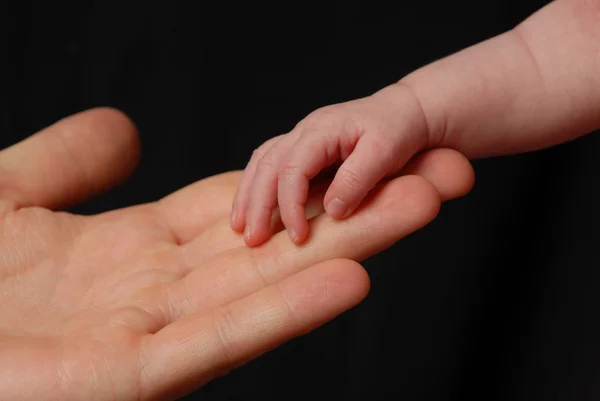 Bebek el ebeveynlerin ellerine