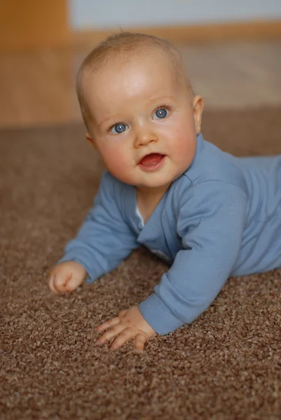 O bebê aprende a rastejar Fotografias De Stock Royalty-Free