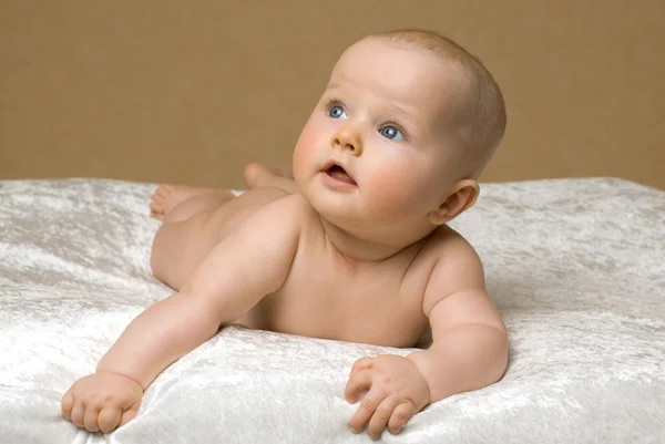 Pasgeboren baby portret Stockfoto