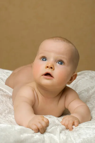 Retrato de bebê recém-nascido Fotografias De Stock Royalty-Free