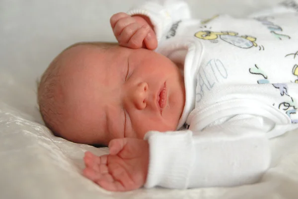 Newborn baby portrait — Stock Photo, Image