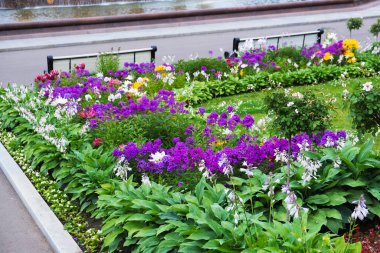 Parkta çiçek açan yaz yatağı