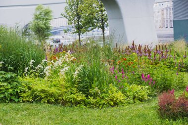 Parkta çiçek açan yaz yatağı